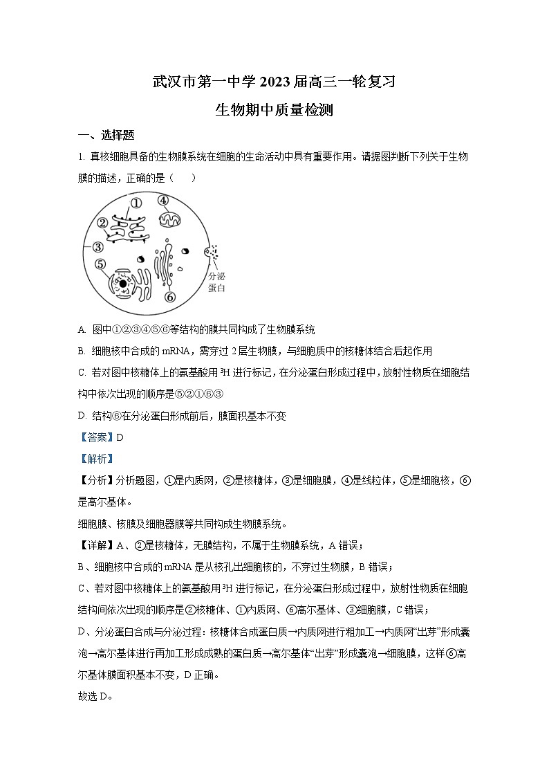 湖北省武汉市一中2022-2023学年高三生物上学期期中质量检测试题（Word版附解析）第1页