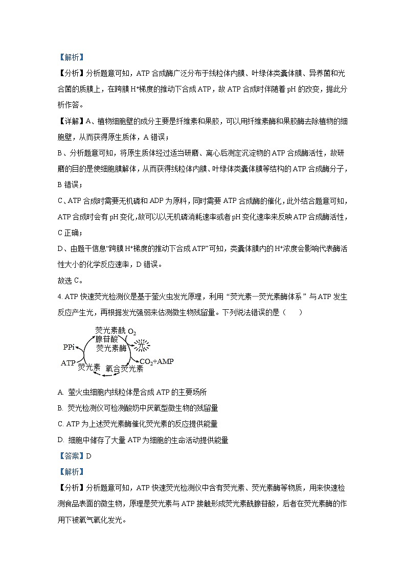 湖北省武汉市一中2022-2023学年高三生物上学期期中质量检测试题（Word版附解析）第3页