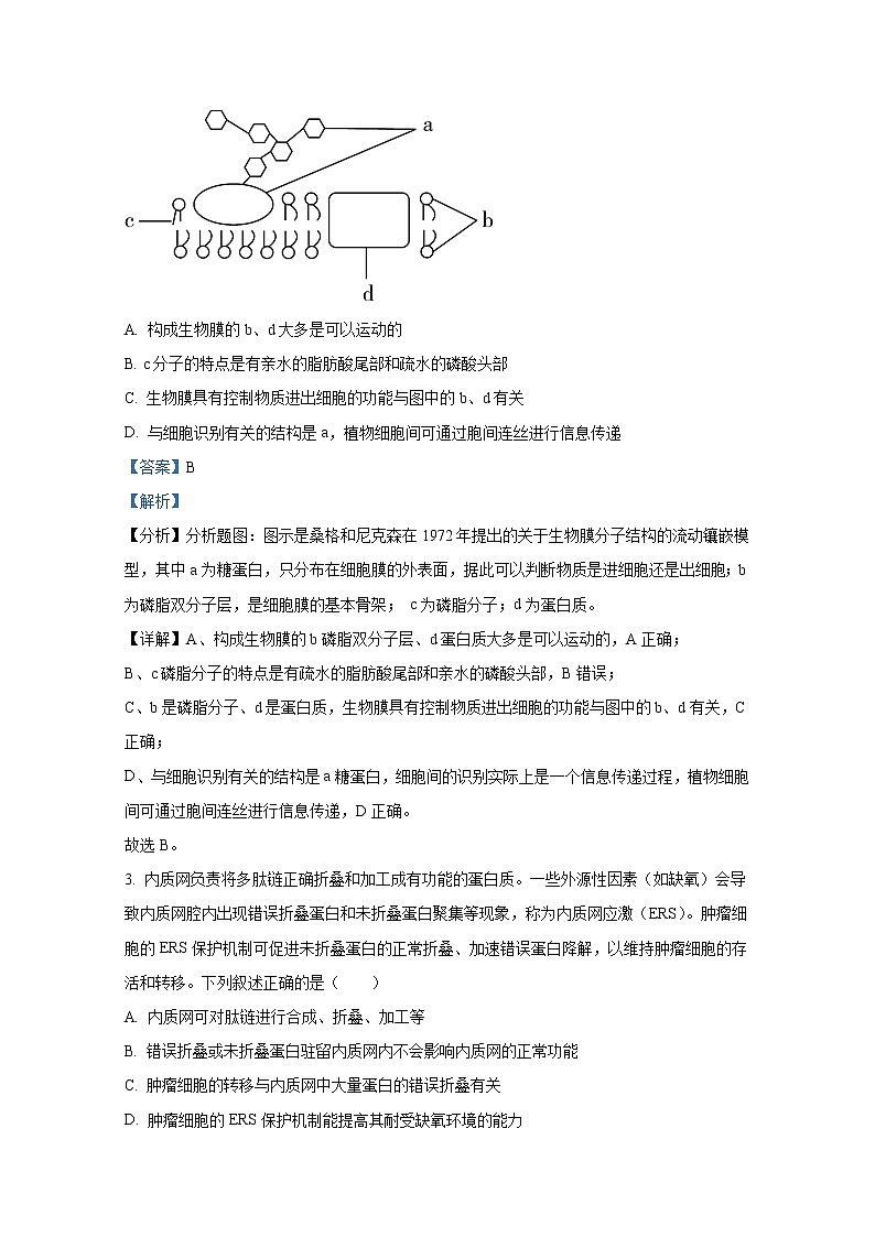 浙江省嘉兴市第一中学2022-2023学年高二生物上学期期中检测试题（Word版附解析）02