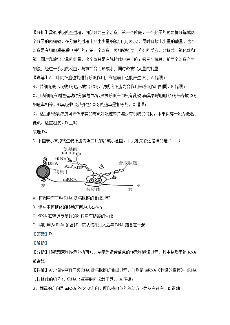 浙江省七彩阳光联盟2022-2023学年高二生物上学期11月期中试题（Word版附解析）03