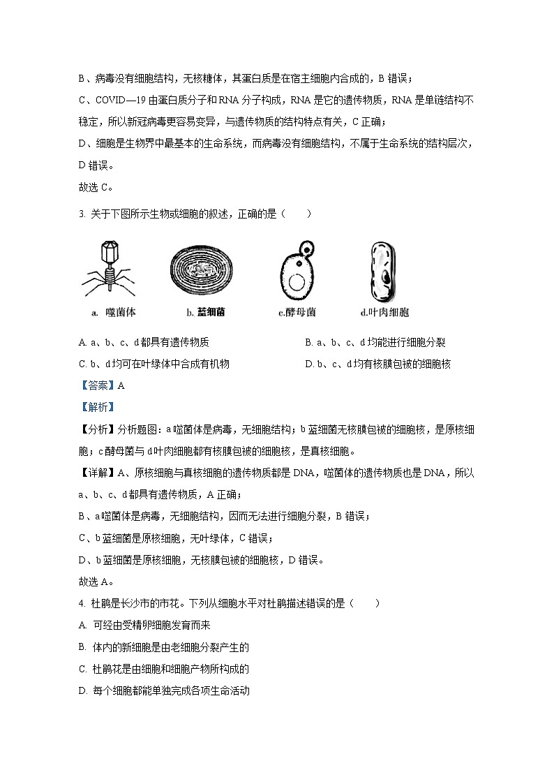 湖南省长沙市雅礼中学2022-2023学年高一生物上学期期中试题（Word版附解析）02