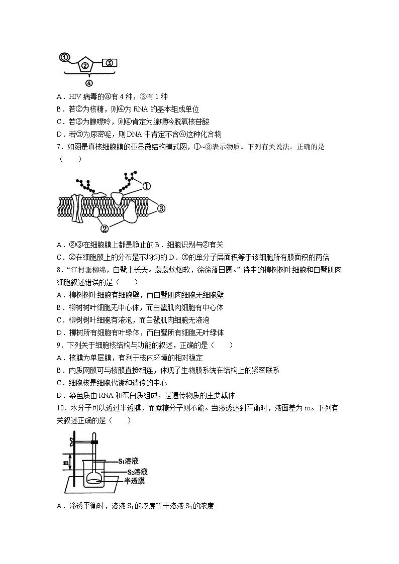 湖南省邵阳市隆回县二中2022-2023学年高一生物上学期期中试题（Word版附答案）第2页