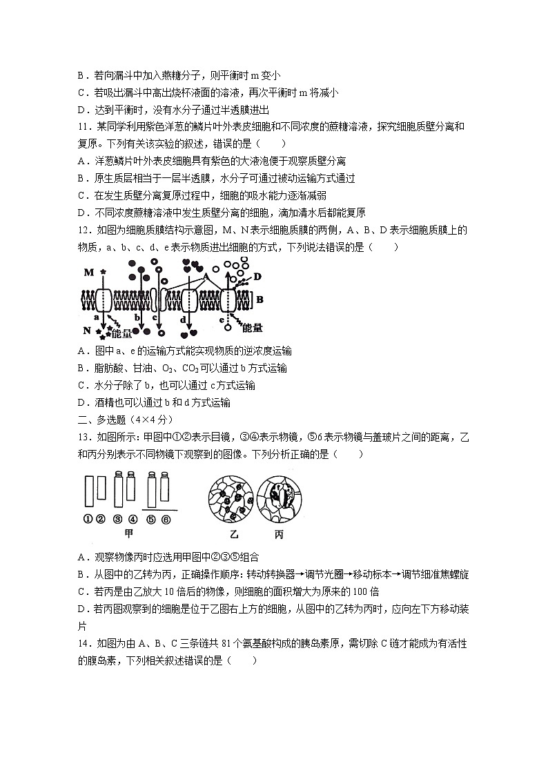 湖南省邵阳市隆回县二中2022-2023学年高一生物上学期期中试题（Word版附答案）第3页