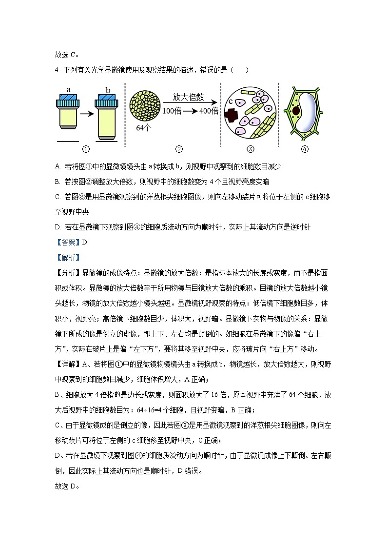 天津市河西区2022-2023学年高一生物上学期期中试题（Word版附解析）第3页
