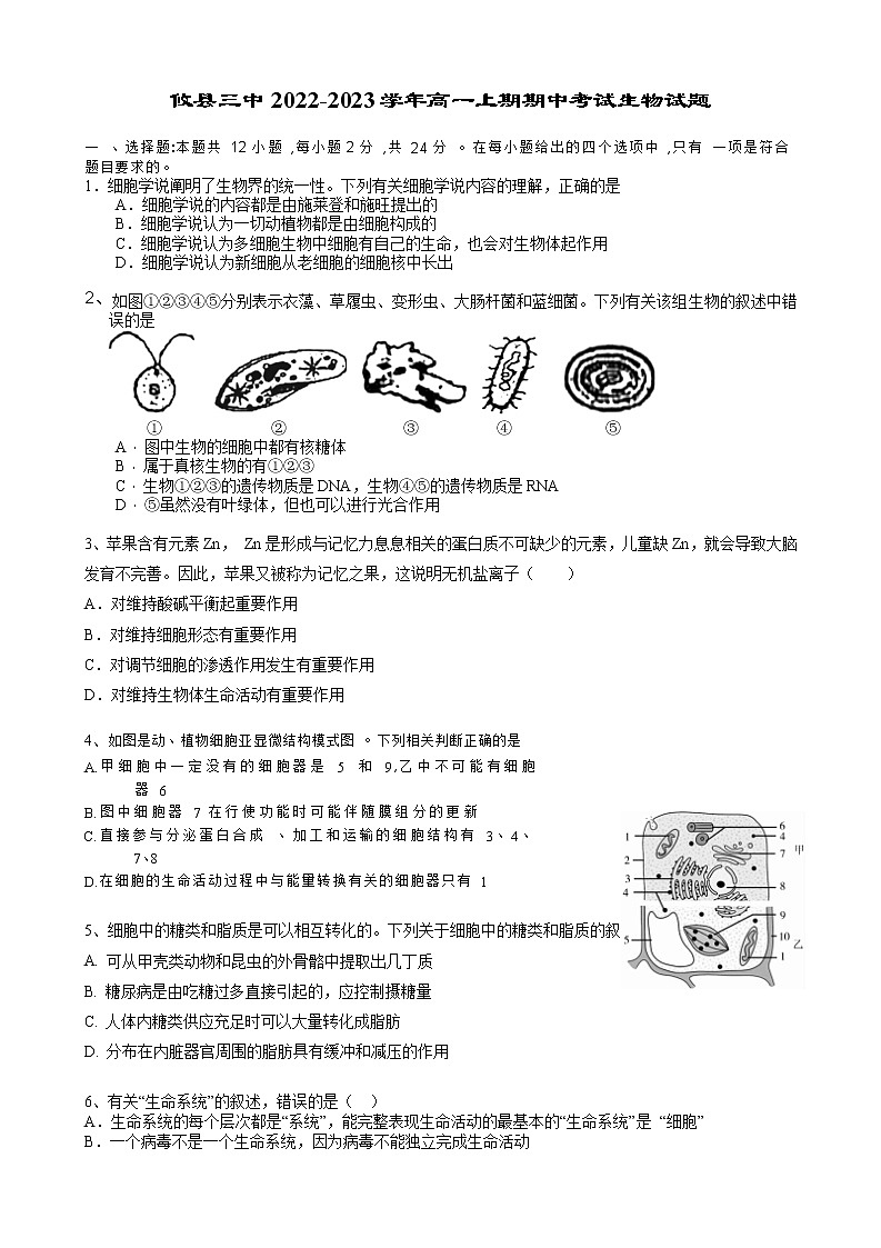 湖南省株洲市攸县第三中学2022-2023学年高一生物上学期期中考试试题（Word版附答案）第1页