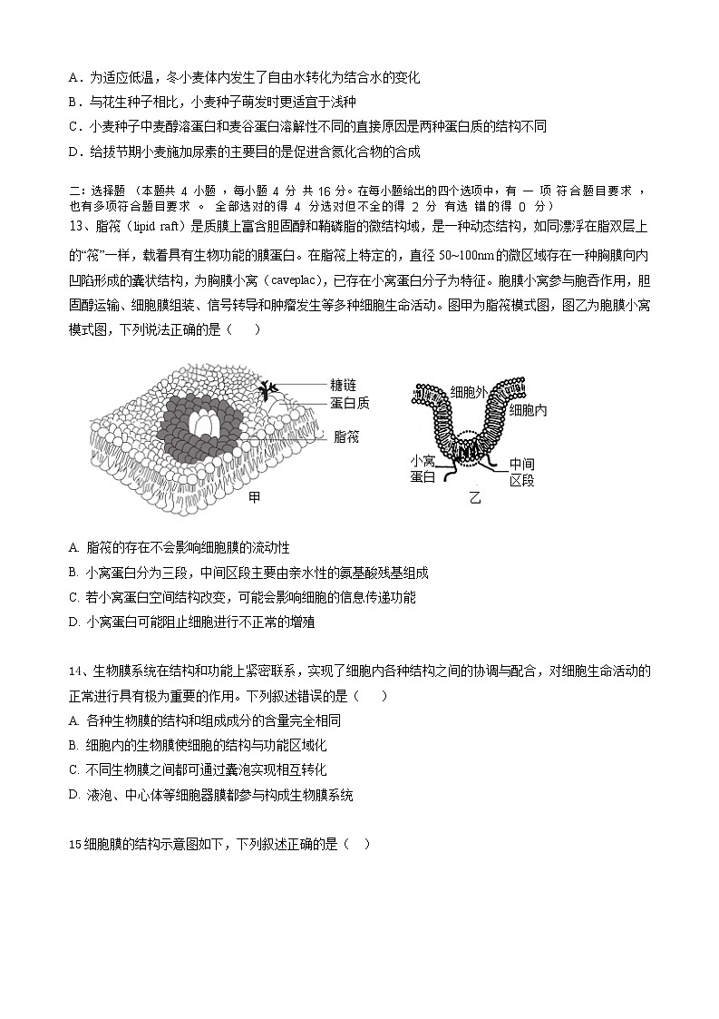 湖南省株洲市攸县第三中学2022-2023学年高一生物上学期期中考试试题（Word版附答案）第3页