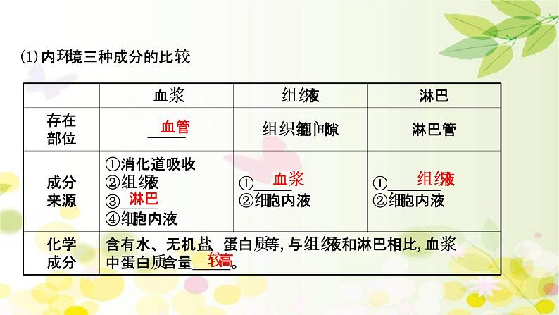 (新高考)高考生物一轮复习课件第八单元第1课人体的内环境与稳态(含解析)第5页