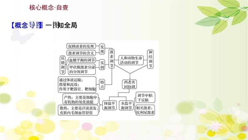 (新高考)高考生物一轮复习课件第八单元第3课通过激素的调节及神经调节与体液调节的关系(含解析)03