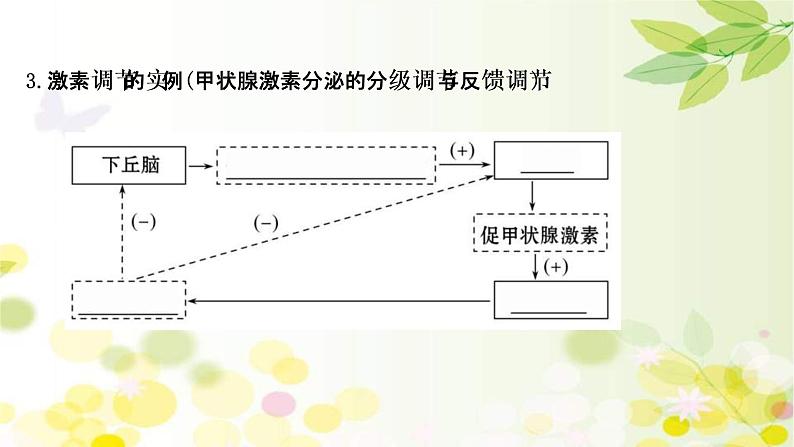 (新高考)高考生物一轮复习课件第八单元第3课通过激素的调节及神经调节与体液调节的关系(含解析)08