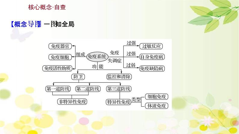 (新高考)高考生物一轮复习课件第八单元第4课免疫调节(含解析)第3页