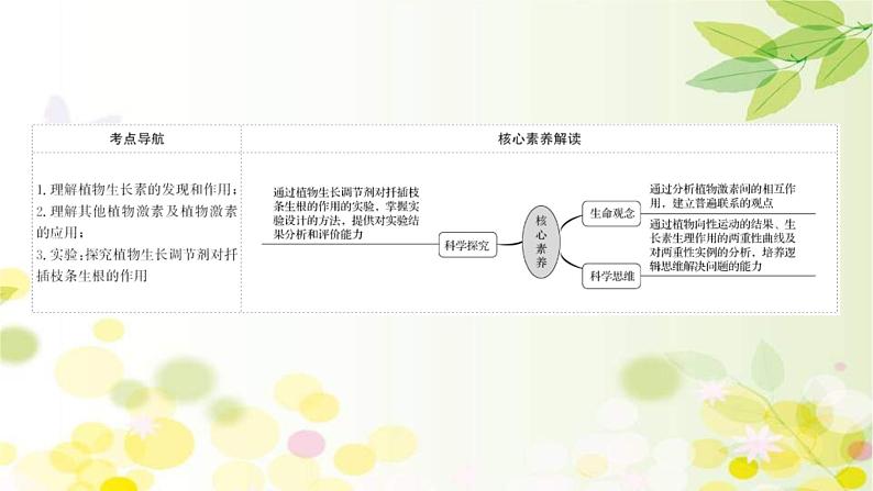 (新高考)高考生物一轮复习课件第八单元第5课植物的激素调节(含解析)第2页