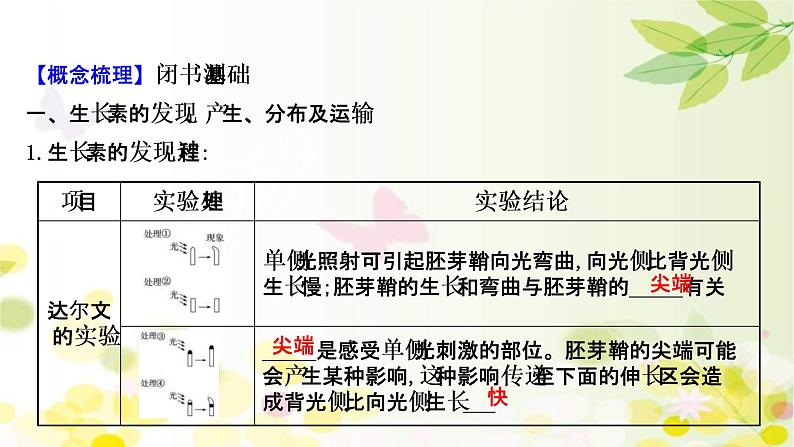 (新高考)高考生物一轮复习课件第八单元第5课植物的激素调节(含解析)第4页