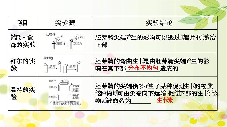 (新高考)高考生物一轮复习课件第八单元第5课植物的激素调节(含解析)第5页