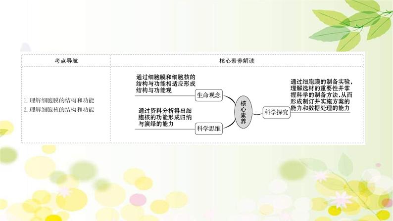 (新高考)高考生物一轮复习课件第二单元第1课细胞膜和细胞核(含解析)第2页