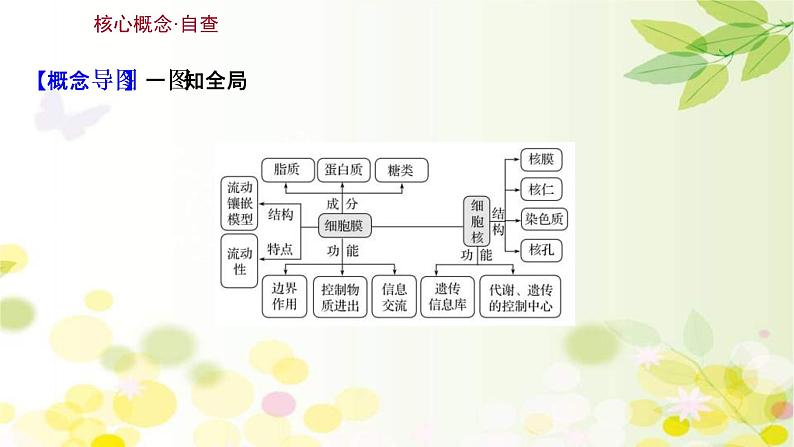 (新高考)高考生物一轮复习课件第二单元第1课细胞膜和细胞核(含解析)第3页