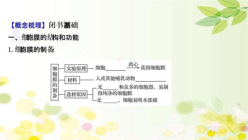 (新高考)高考生物一轮复习课件第二单元第1课细胞膜和细胞核(含解析)第4页