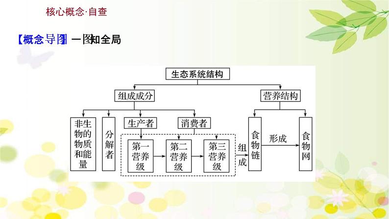 (新高考)高考生物一轮复习课件第九单元第3课生态系统的结构(含解析)03