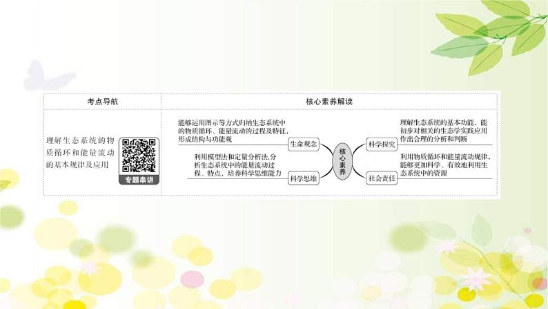 (新高考)高考生物一轮复习课件第九单元第4课生态系统的能量流动和物质循环(含解析)第2页