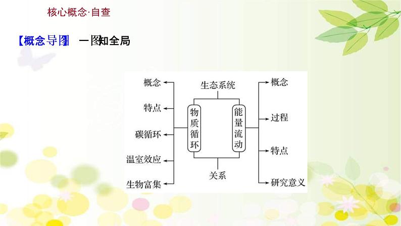 (新高考)高考生物一轮复习课件第九单元第4课生态系统的能量流动和物质循环(含解析)第3页