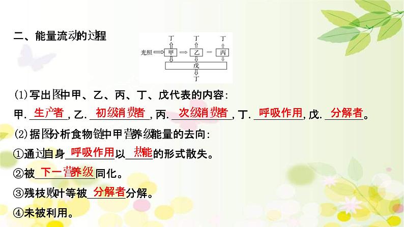 (新高考)高考生物一轮复习课件第九单元第4课生态系统的能量流动和物质循环(含解析)第6页