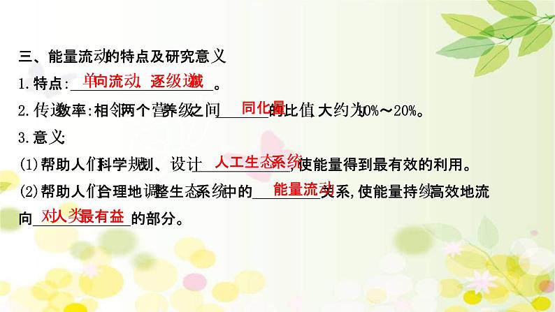 (新高考)高考生物一轮复习课件第九单元第4课生态系统的能量流动和物质循环(含解析)第8页