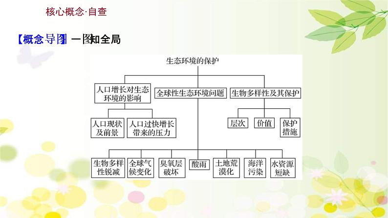 (新高考)高考生物一轮复习课件第九单元第6课生态环境的保护和生态工程(含解析)第3页