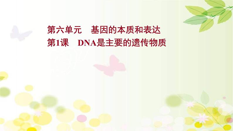 (新高考)高考生物一轮复习课件第六单元第1课DNA是主要的遗传物质(含解析)第1页
