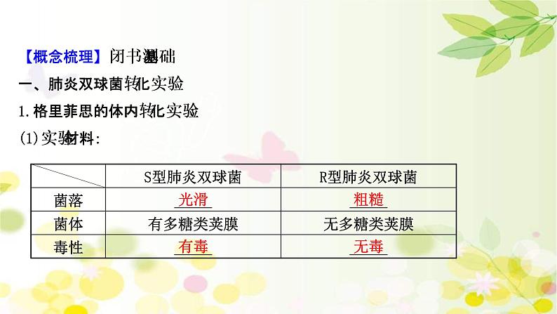 (新高考)高考生物一轮复习课件第六单元第1课DNA是主要的遗传物质(含解析)第4页