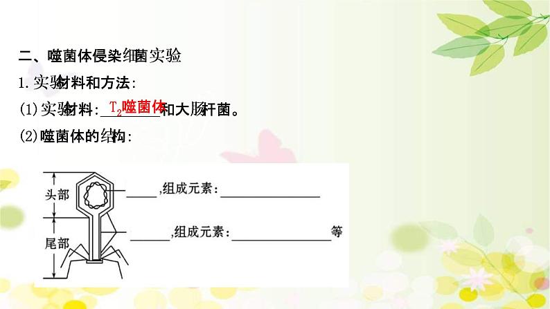 (新高考)高考生物一轮复习课件第六单元第1课DNA是主要的遗传物质(含解析)第7页