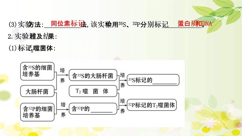 (新高考)高考生物一轮复习课件第六单元第1课DNA是主要的遗传物质(含解析)第8页