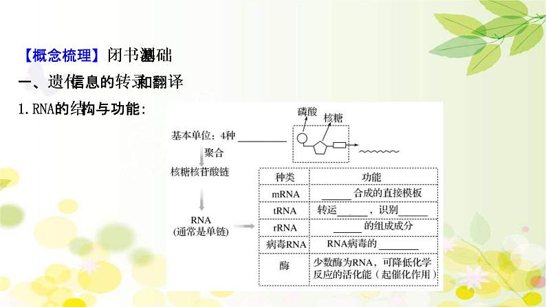 (新高考)高考生物一轮复习课件第六单元第3课基因的表达(含解析)04