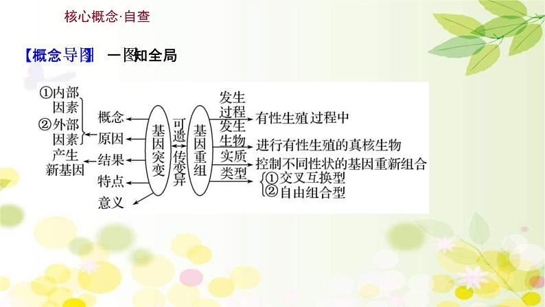 (新高考)高考生物一轮复习课件第七单元第1课基因突变和基因重组(含解析)03