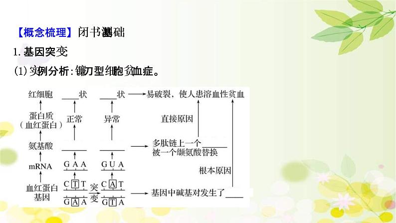 (新高考)高考生物一轮复习课件第七单元第1课基因突变和基因重组(含解析)04