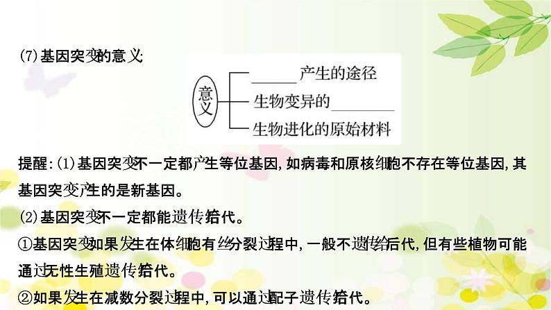 (新高考)高考生物一轮复习课件第七单元第1课基因突变和基因重组(含解析)08