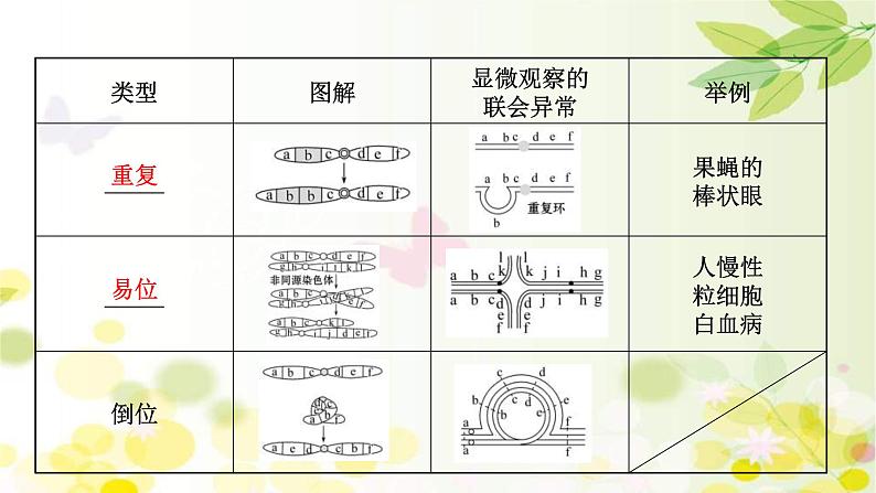 (新高考)高考生物一轮复习课件第七单元第2课染色体变异(含解析)第5页