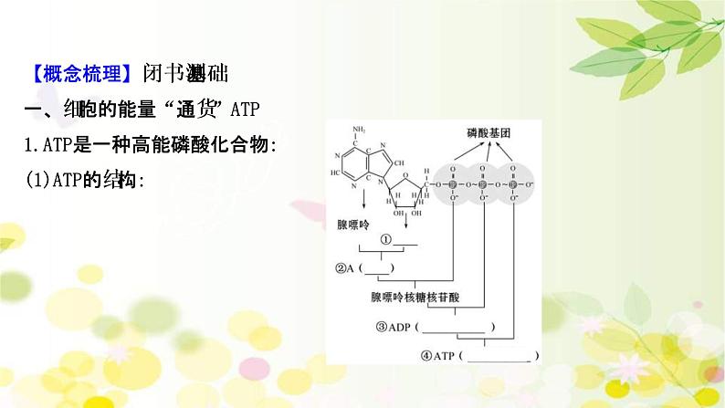 (新高考)高考生物一轮复习课件第三单元第1课ATP和酶(含解析)04