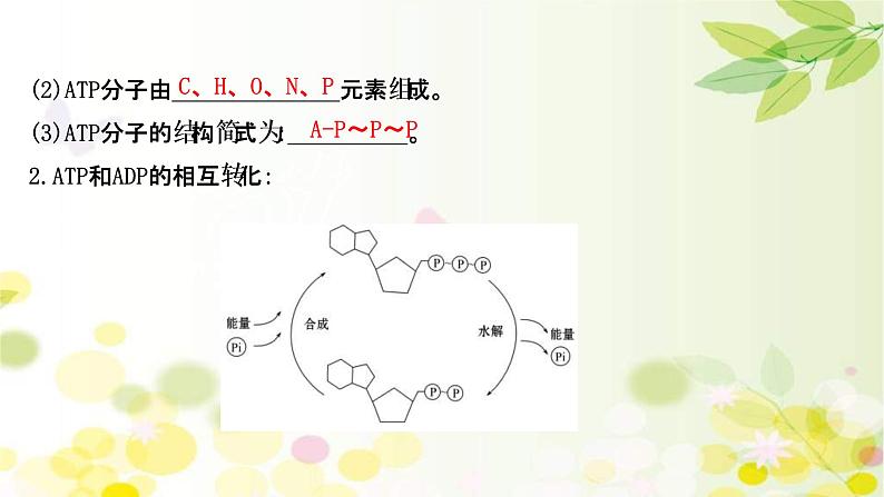 (新高考)高考生物一轮复习课件第三单元第1课ATP和酶(含解析)05