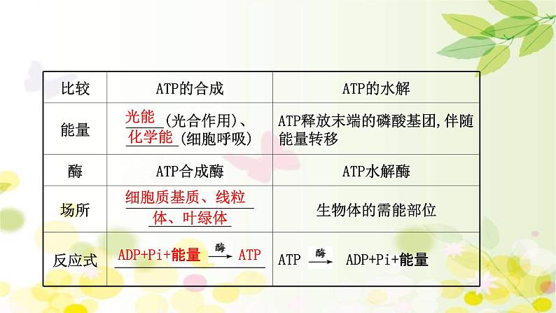 (新高考)高考生物一轮复习课件第三单元第1课ATP和酶(含解析)06