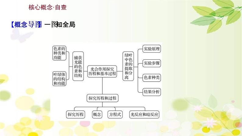 (新高考)高考生物一轮复习课件第三单元第3课光合作用探究历程和基本过程(含解析)第3页