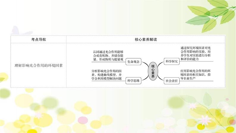 (新高考)高考生物一轮复习课件第三单元第4课影响光合作用的因素及光合作用和细胞呼吸的关系(含解析)02