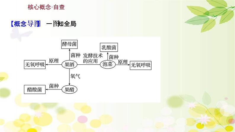 (新高考)高考生物一轮复习课件第十单元第1课传统发酵技术的应用(含解析)第3页