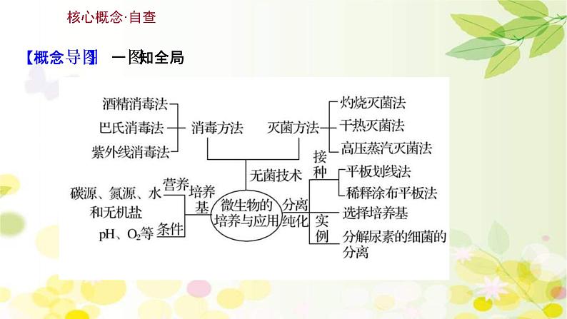 (新高考)高考生物一轮复习课件第十单元第2课微生物的培养与应用(含解析)03