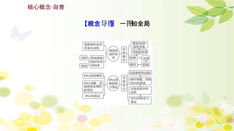 (新高考)高考生物一轮复习课件第十单元第3课菊花的组织培养和DNA技术(含解析)03