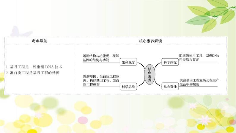 (新高考)高考生物一轮复习课件第十单元第4课基因工程(含解析)02