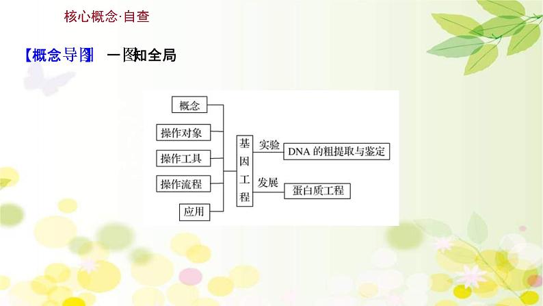 (新高考)高考生物一轮复习课件第十单元第4课基因工程(含解析)03