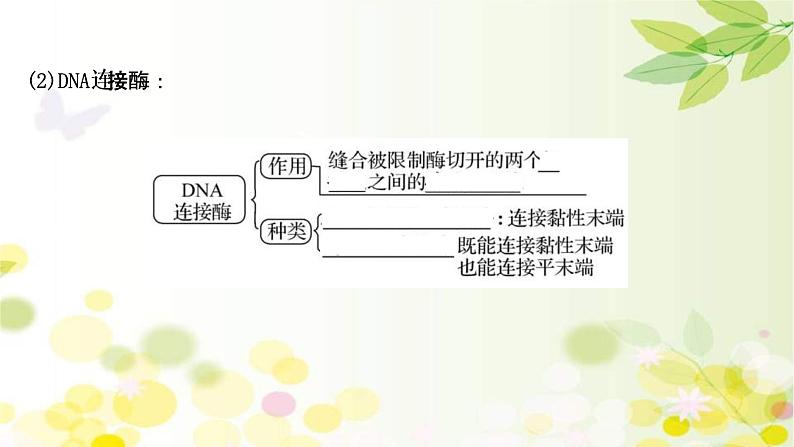 (新高考)高考生物一轮复习课件第十单元第4课基因工程(含解析)07