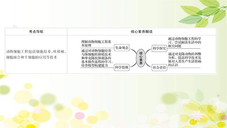 (新高考)高考生物一轮复习课件第十单元第6课动物细胞工程(含解析)02