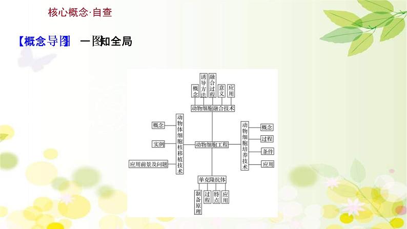 (新高考)高考生物一轮复习课件第十单元第6课动物细胞工程(含解析)03