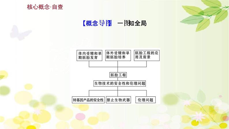 (新高考)高考生物一轮复习课件第十单元第7课胚胎工程与生物技术的安全性和伦理问题(含解析)03