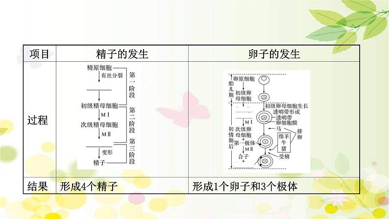 (新高考)高考生物一轮复习课件第十单元第7课胚胎工程与生物技术的安全性和伦理问题(含解析)05